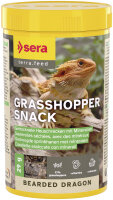Bearded Dragon Grasshopper 250ml