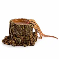 Hobby Forest Stump