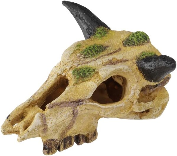 Terra Della Carabaoskull