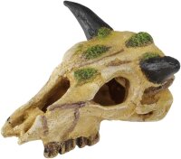 Terra Della Carabaoskull