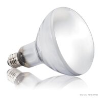 EXO Terra Solar Glo Vollspektrum-Lampe