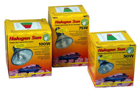 Lucky Reptile Halogen Sun - Halogenstrahler für E27-Fassungen
