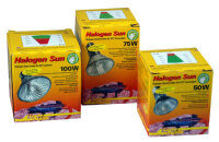 Lucky Reptile Halogen Sun - Halogenstrahler für...