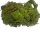 Island Moos grün ca. 60g