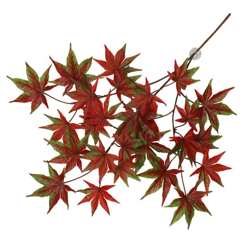 Cannabis Hängepflanze 65x40x5cm rot TERRA DELLA