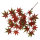 Cannabis Hängepflanze 65x40x5cm rot TERRA DELLA