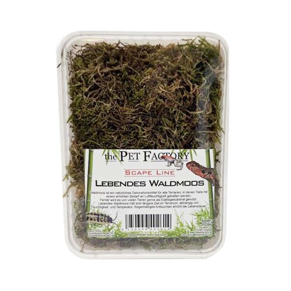 Lebendes Waldmoos 1L