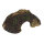 AQUA DELLA Grotte oakly 26,5x18,5x9cm