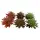 TERRA DELLA Sedum - dark-red green - 13x12,5x10cm