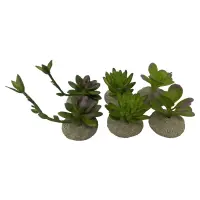 Succulent S - 8x5,8x10,5cm TERRA DELLA