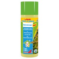 SERA flore 4 plant