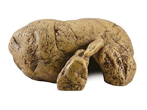 Reptile Cave XL Exo Terra
