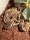 Königspython / Python regius mix
