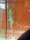 QuerstreifenTaggecko / Phelsuma standingi