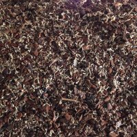 Terrarium Substrate 26,4l Rainforest Exo Terra