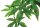 Jungle Plant Abutilon mittel Exo Terra