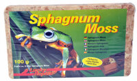 Lucky Reptile Sphagnum Moss Ziegel 100 g