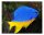 Azur Demoiselle / Chrysiptera hemicyanea