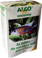 ALGOfex
