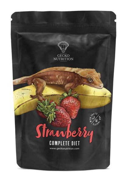 Erdbeere 50g Gecko Nutrition